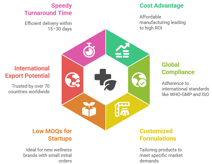 Why Choose Nutraceutical Manufacturers in India